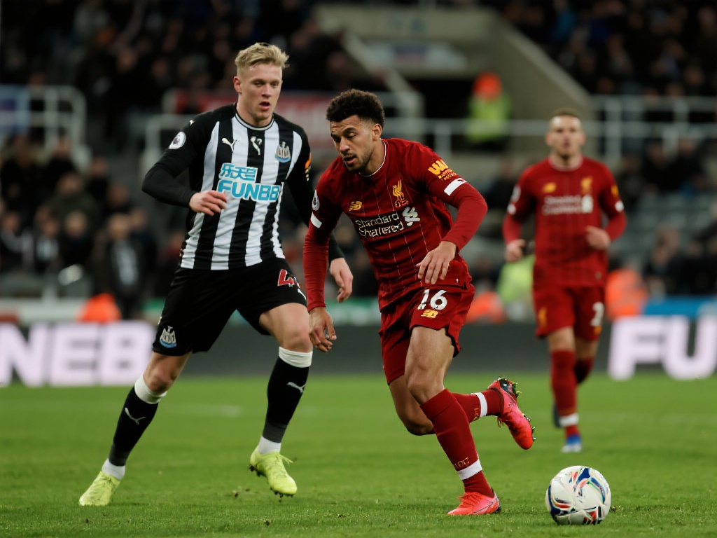 从目前的 从目前的